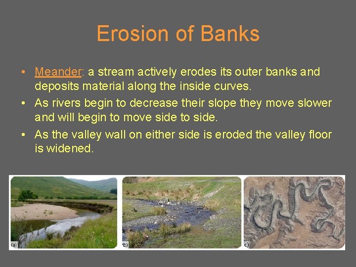 Erosion of Banks • Meander: a stream actively erodes its outer banks and deposits
