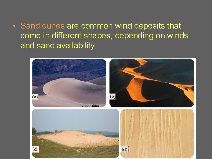  • Sand dunes are common wind deposits that come in different shapes, depending