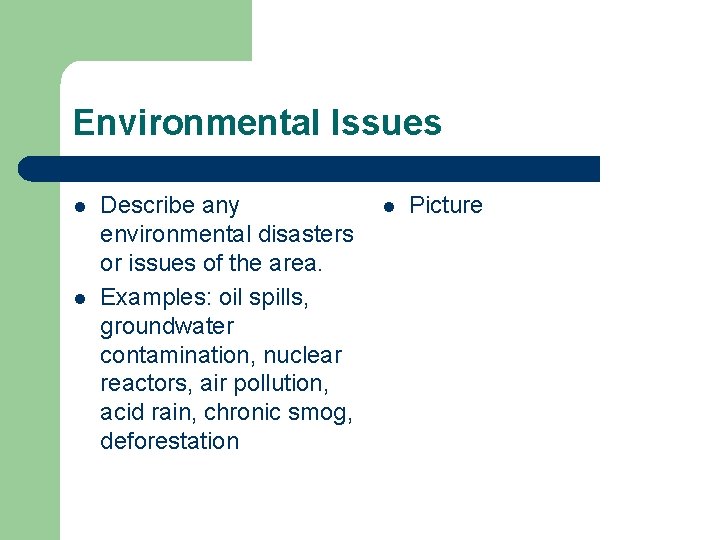 Environmental Issues l l Describe any environmental disasters or issues of the area. Examples: