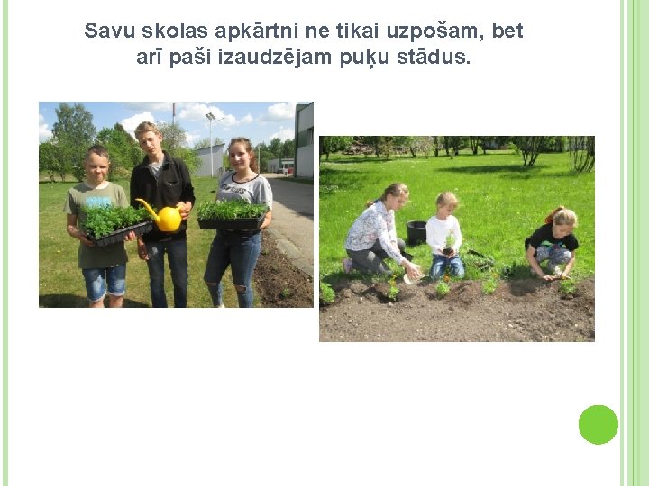 Savu skolas apkārtni ne tikai uzpošam, bet arī paši izaudzējam puķu stādus. 