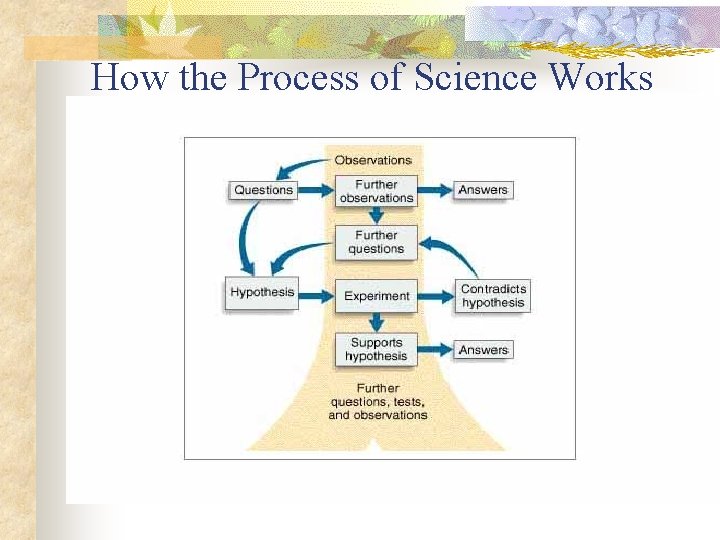 How the Process of Science Works 