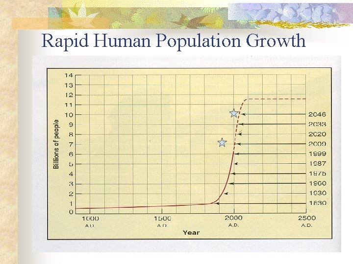 Rapid Human Population Growth 