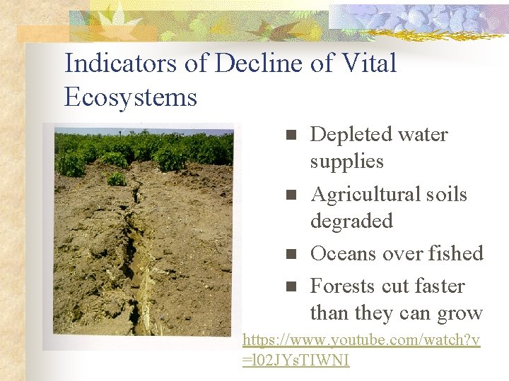 Indicators of Decline of Vital Ecosystems n n Depleted water supplies Agricultural soils degraded