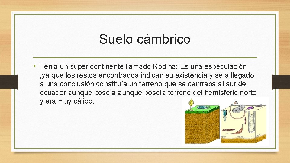 Suelo cámbrico • Tenia un súper continente llamado Rodina: Es una especulación , ya