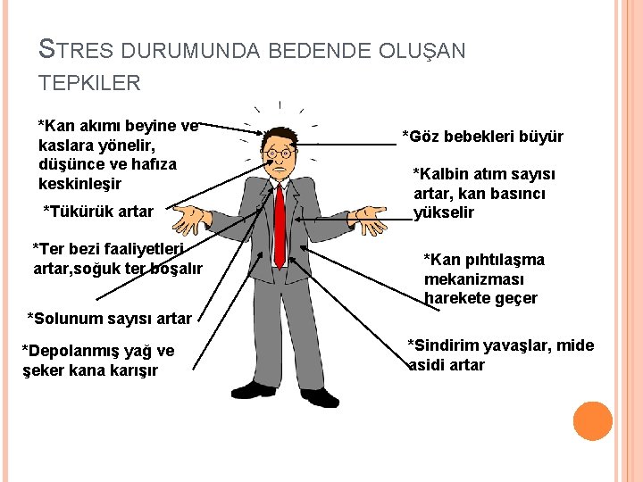 STRES DURUMUNDA BEDENDE OLUŞAN TEPKILER *Kan akımı beyine ve kaslara yönelir, düşünce ve hafıza