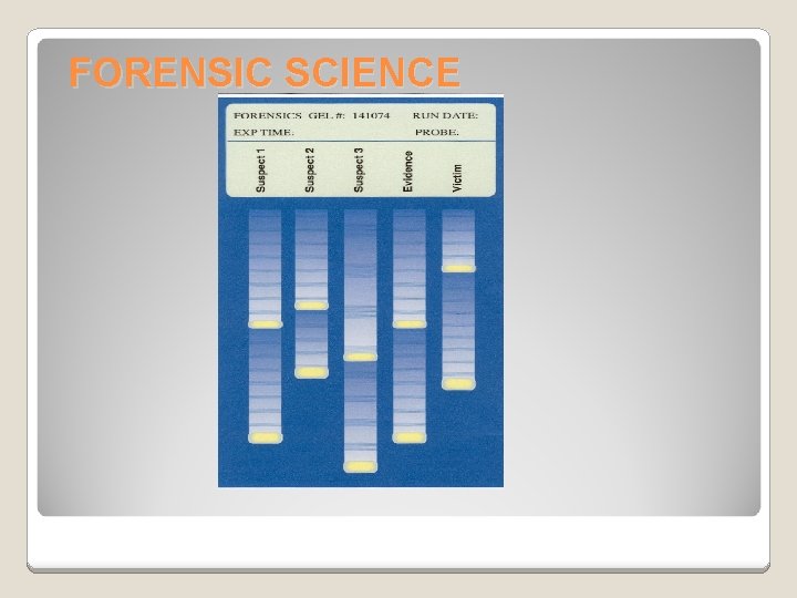 FORENSIC SCIENCE 