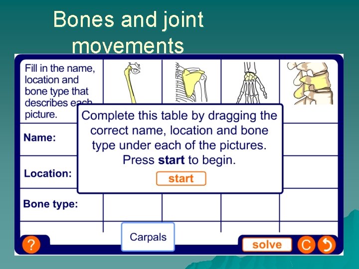 Bones and joint movements 