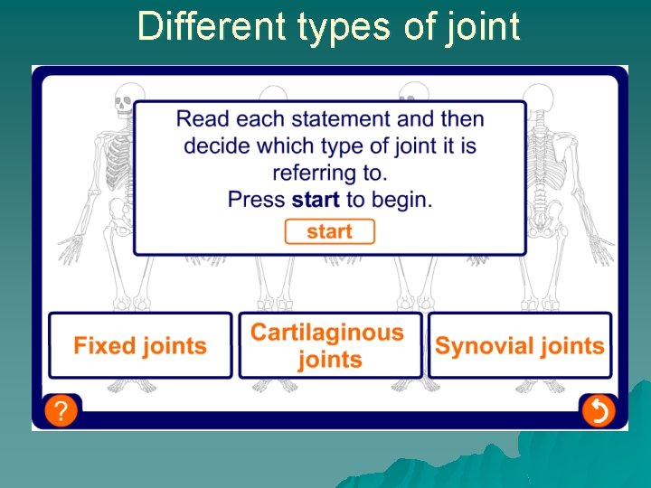 Different types of joint 