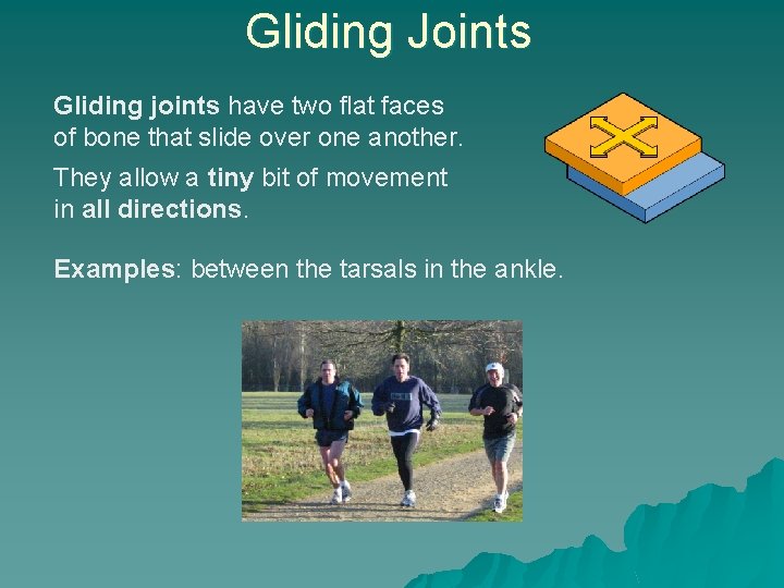 Gliding Joints Gliding joints have two flat faces of bone that slide over one