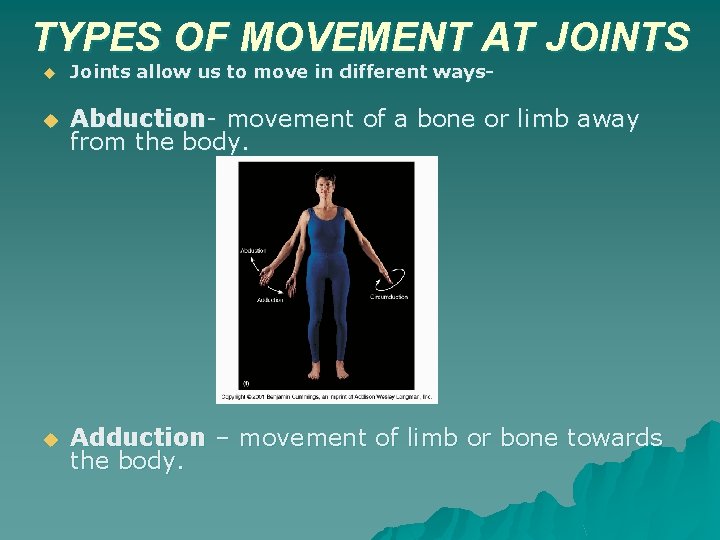 TYPES OF MOVEMENT AT JOINTS u Joints allow us to move in different ways-
