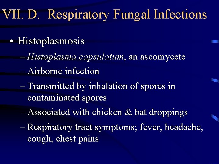 VII. D. Respiratory Fungal Infections • Histoplasmosis – Histoplasma capsulatum, an ascomycete – Airborne
