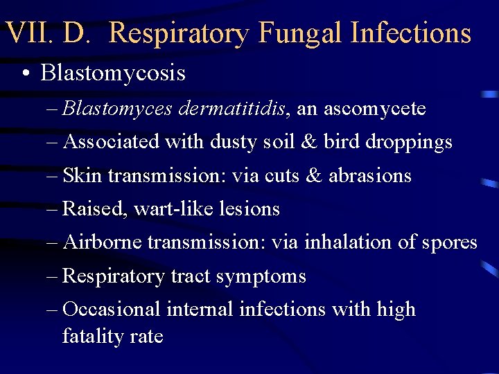 VII. D. Respiratory Fungal Infections • Blastomycosis – Blastomyces dermatitidis, an ascomycete – Associated