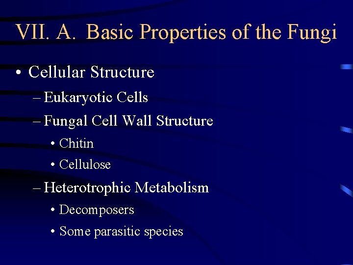 VII. A. Basic Properties of the Fungi • Cellular Structure – Eukaryotic Cells –