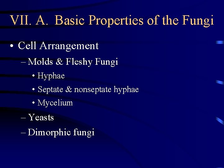 VII. A. Basic Properties of the Fungi • Cell Arrangement – Molds & Fleshy