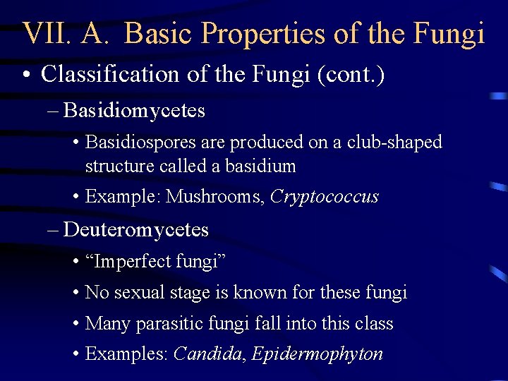 VII. A. Basic Properties of the Fungi • Classification of the Fungi (cont. )