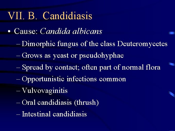 VII. B. Candidiasis • Cause: Candida albicans – Dimorphic fungus of the class Deuteromycetes