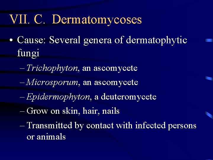 VII. C. Dermatomycoses • Cause: Several genera of dermatophytic fungi – Trichophyton, an ascomycete