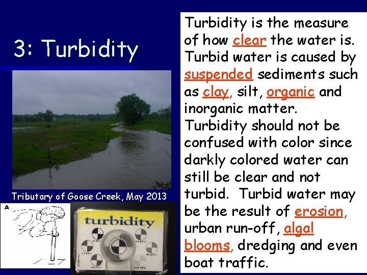 3: Turbidity Tributary of Goose Creek, May 2013 Turbidity is the measure of how