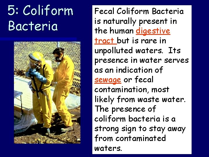 5: Coliform Bacteria Fecal Coliform Bacteria is naturally present in the human digestive tract