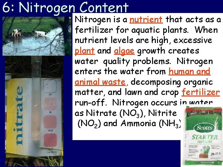 6: Nitrogen Content Nitrogen is a nutrient that acts as a fertilizer for aquatic