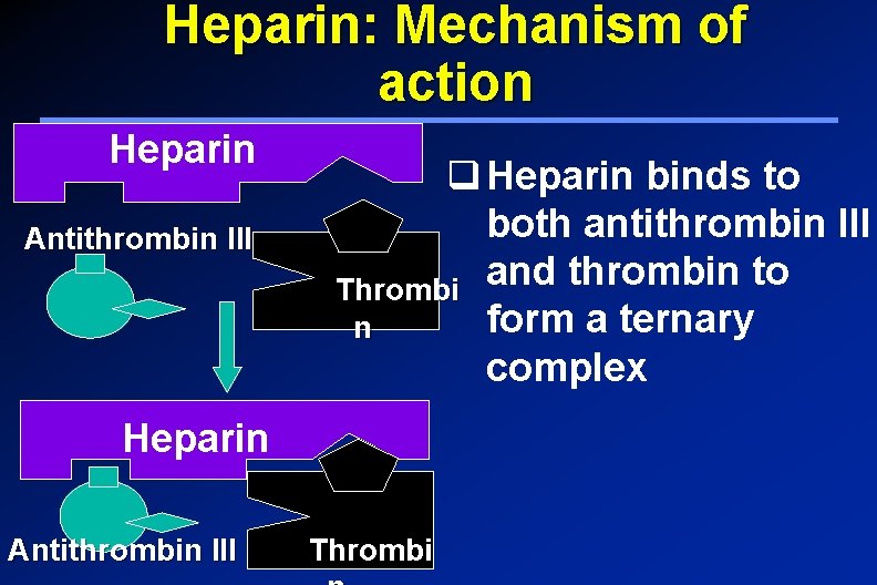 Heparin: Mechanism of action Heparin Antithrombin III q Heparin binds to both antithrombin III