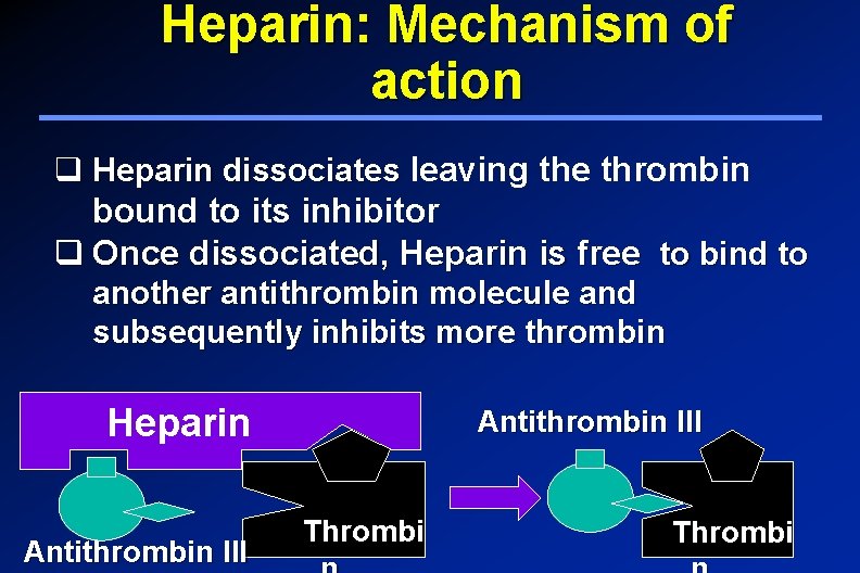 Heparin: Mechanism of action q Heparin dissociates leaving the thrombin bound to its inhibitor