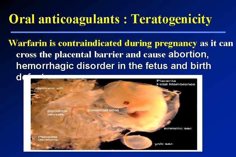 Oral anticoagulants : Teratogenicity Warfarin is contraindicated during pregnancy as it can cross the