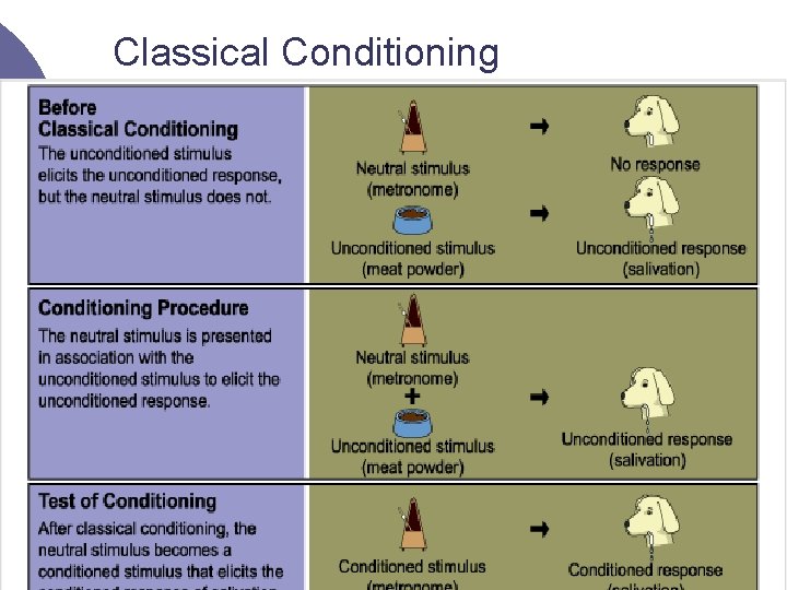 Classical Conditioning 