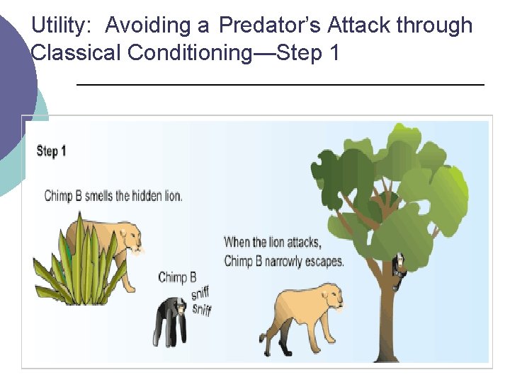 Utility: Avoiding a Predator’s Attack through Classical Conditioning—Step 1 