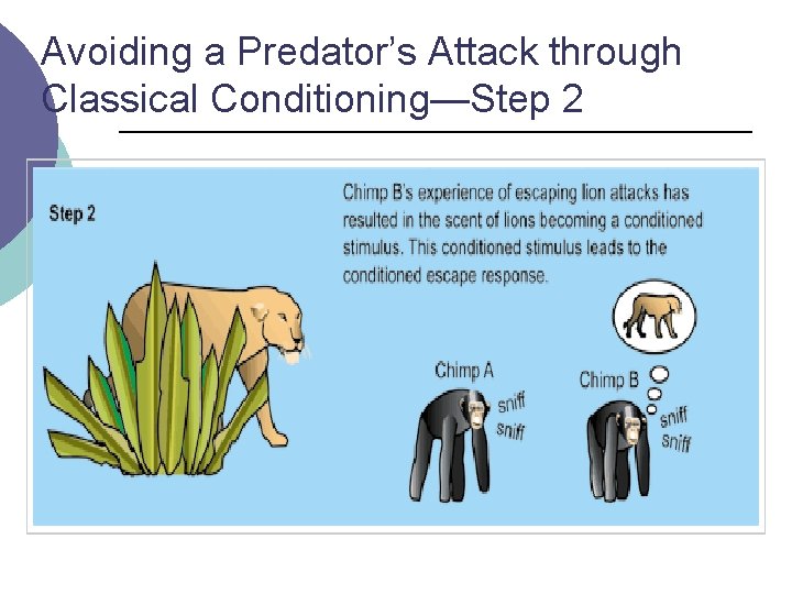 Avoiding a Predator’s Attack through Classical Conditioning—Step 2 