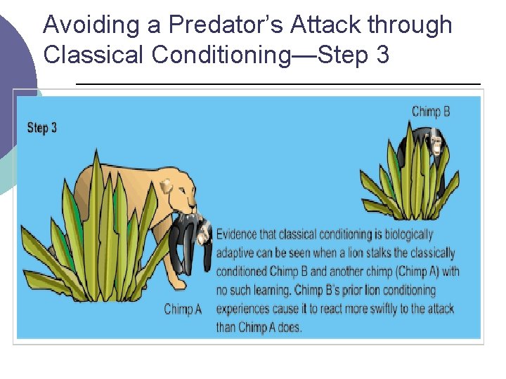 Avoiding a Predator’s Attack through Classical Conditioning—Step 3 
