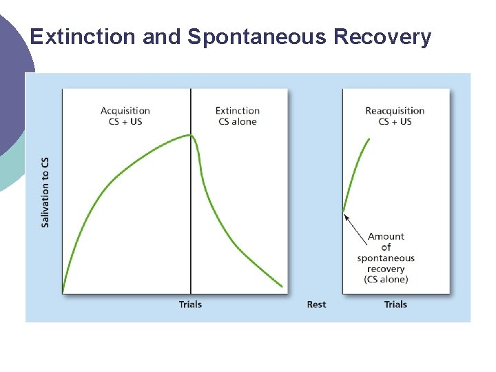 Extinction and Spontaneous Recovery 