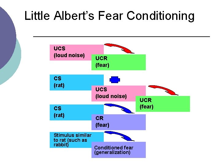 Little Albert’s Fear Conditioning UCS (loud noise) CS (rat) Stimulus similar to rat (such