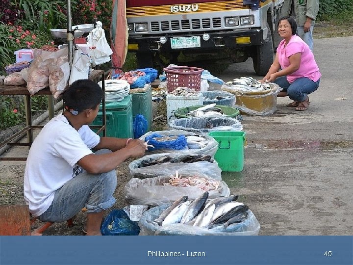 Philippines - Luzon 45 