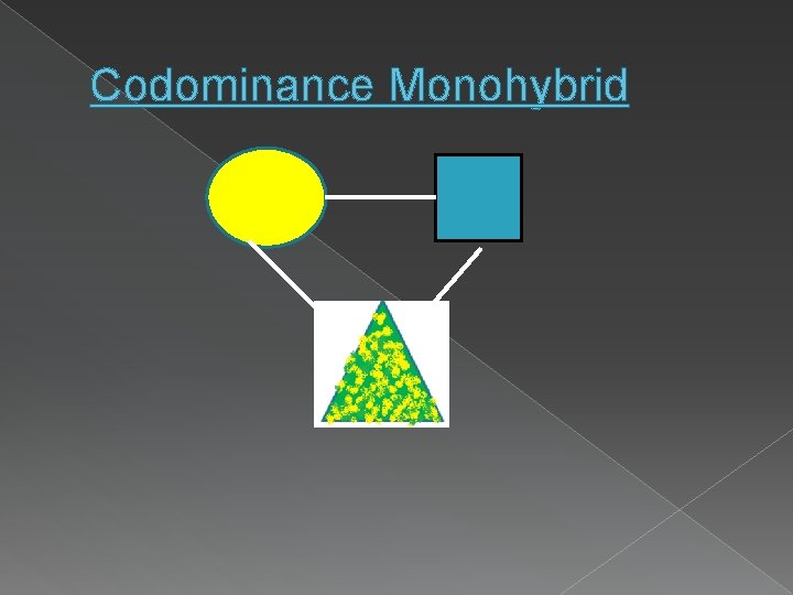 Codominance Monohybrid 