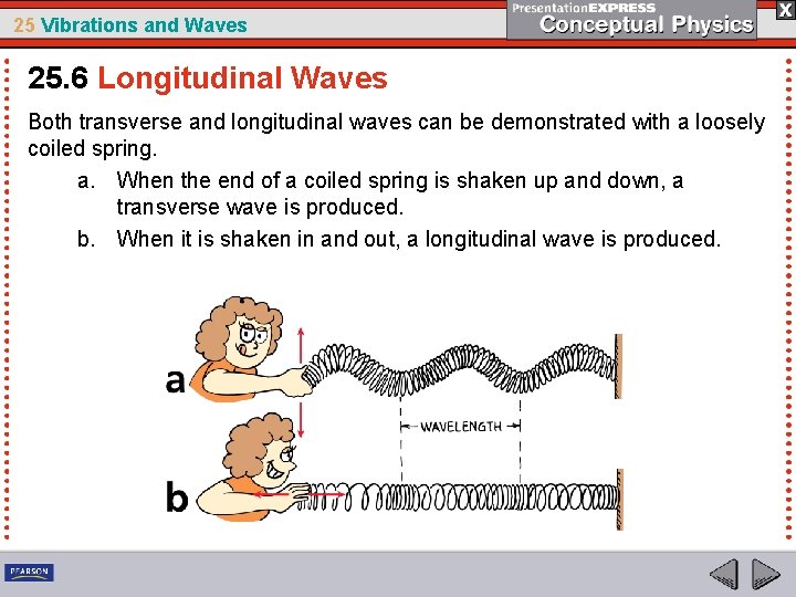 25 Vibrations and Waves 25. 6 Longitudinal Waves Both transverse and longitudinal waves can