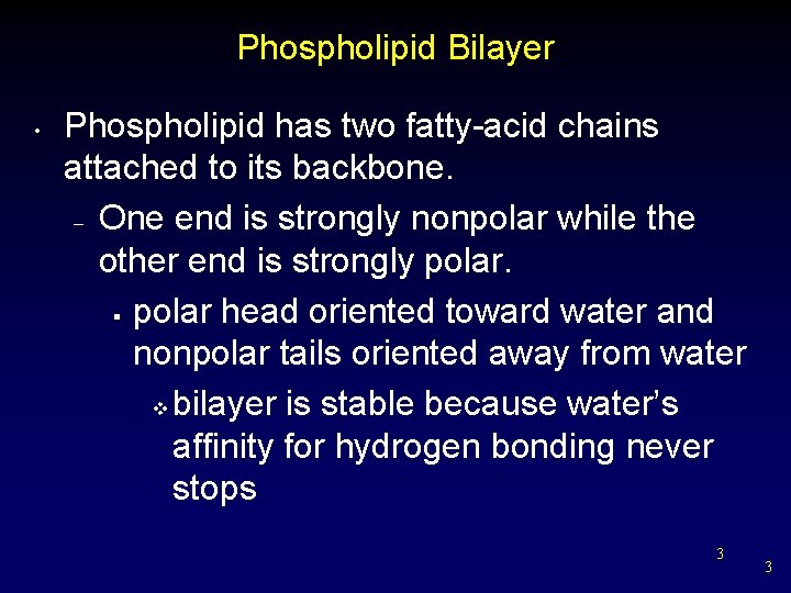 Phospholipid Bilayer • Phospholipid has two fatty-acid chains attached to its backbone. – One