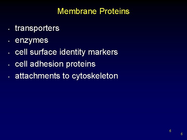 Membrane Proteins • • • transporters enzymes cell surface identity markers cell adhesion proteins