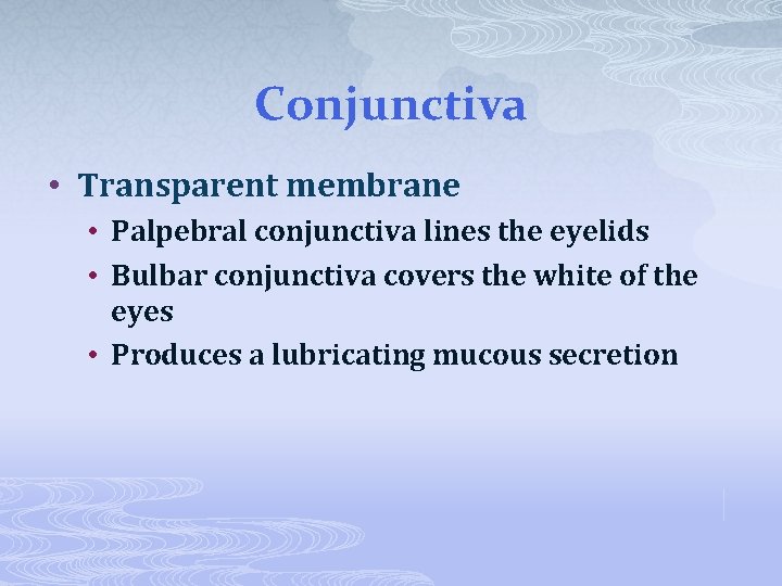 Conjunctiva • Transparent membrane • Palpebral conjunctiva lines the eyelids • Bulbar conjunctiva covers