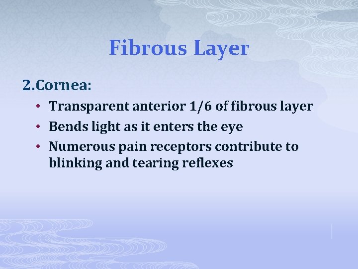 Fibrous Layer 2. Cornea: • Transparent anterior 1/6 of fibrous layer • Bends light