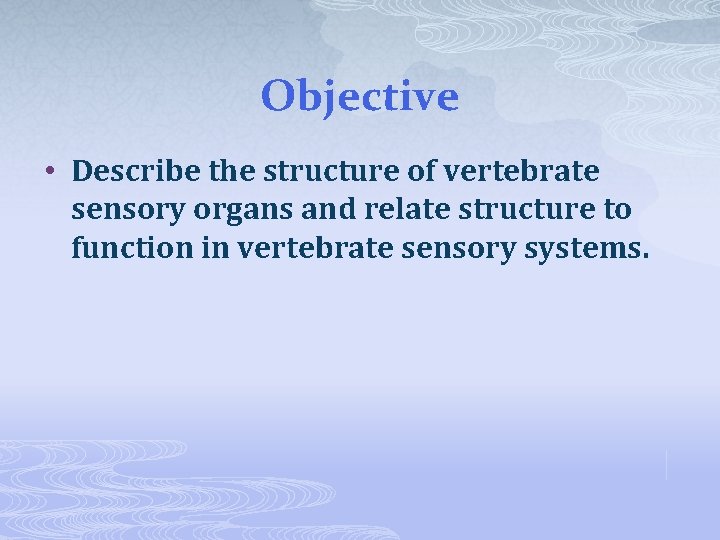 Objective • Describe the structure of vertebrate sensory organs and relate structure to function