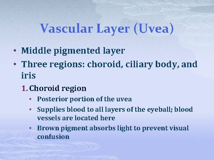 Vascular Layer (Uvea) • Middle pigmented layer • Three regions: choroid, ciliary body, and