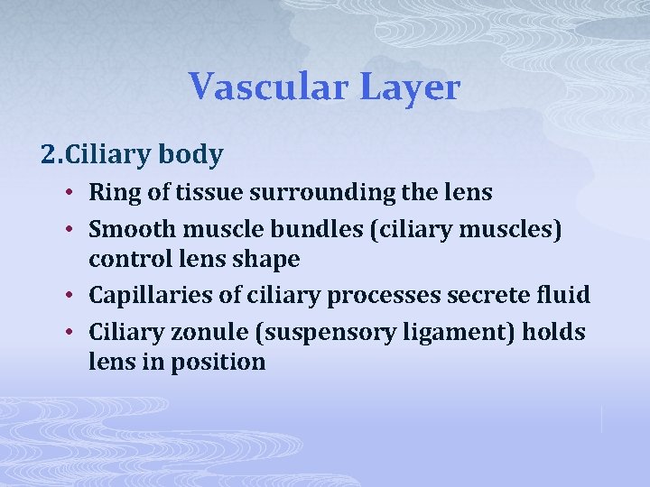 Vascular Layer 2. Ciliary body • Ring of tissue surrounding the lens • Smooth