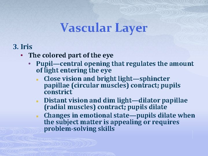 Vascular Layer 3. Iris • The colored part of the eye • Pupil—central opening