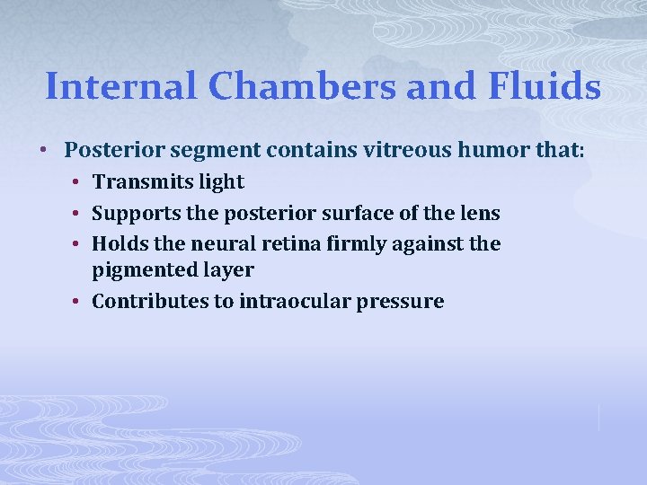 Internal Chambers and Fluids • Posterior segment contains vitreous humor that: • Transmits light