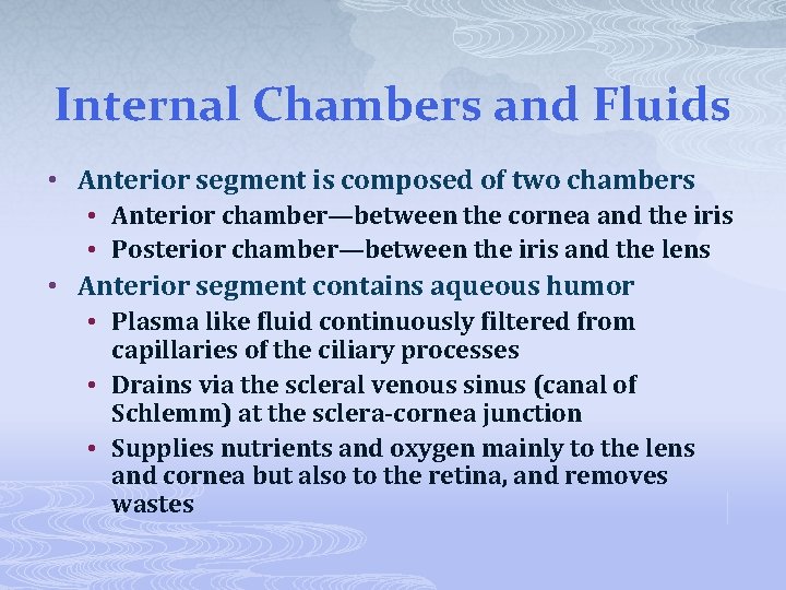 Internal Chambers and Fluids • Anterior segment is composed of two chambers • Anterior