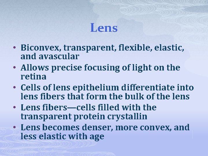 Lens • Biconvex, transparent, flexible, elastic, and avascular • Allows precise focusing of light