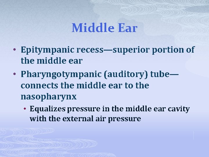 Middle Ear • Epitympanic recess—superior portion of the middle ear • Pharyngotympanic (auditory) tube—