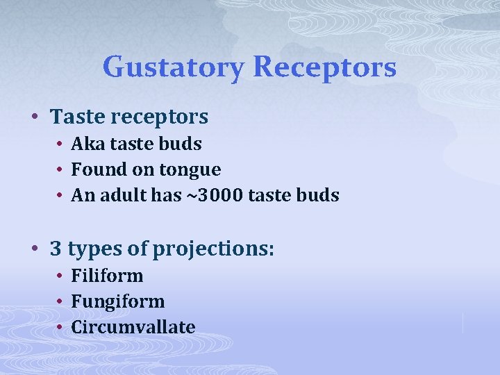 Gustatory Receptors • Taste receptors • Aka taste buds • Found on tongue •