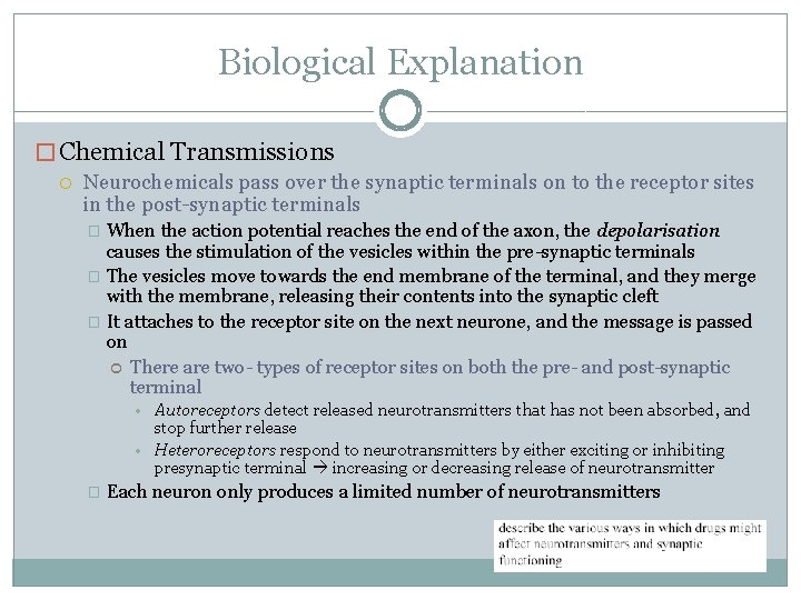 Biological Explanation � Chemical Transmissions Neurochemicals pass over the synaptic terminals on to the